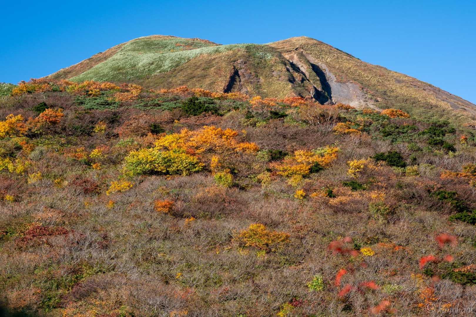 男女岳