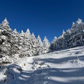 雪山はやっぱり楽しいなぁと思える良い登り納めでした✨
今年もコメントや絵文字に
沢山励ましてもらいました🙏
ありがとうございました🙇
