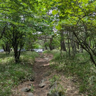駐車場みえたー