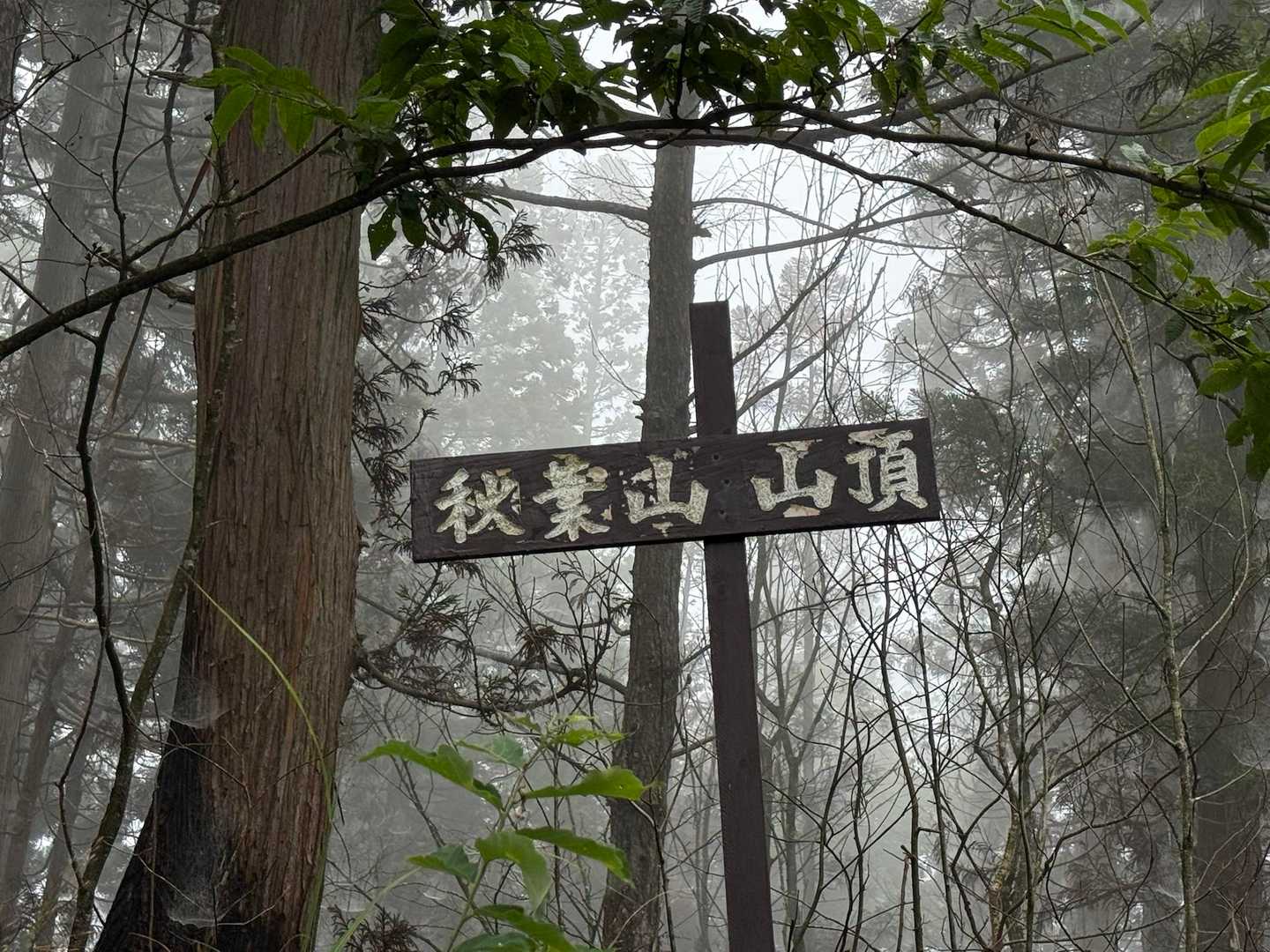 秋葉山、登頂🎉