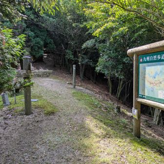 宇土浦越
南北に道が分岐している。馬見山へは300mほど登る