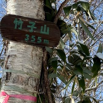 登頂、眺望はなし🙃