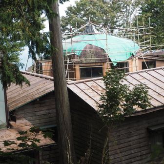 これが補修しているドーム屋根の建物。
再度使用するのかな？