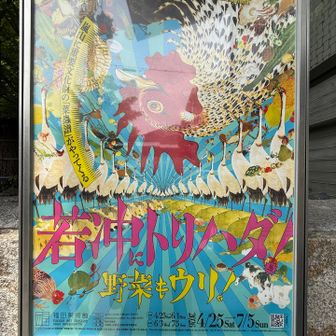 会場内…写真👌