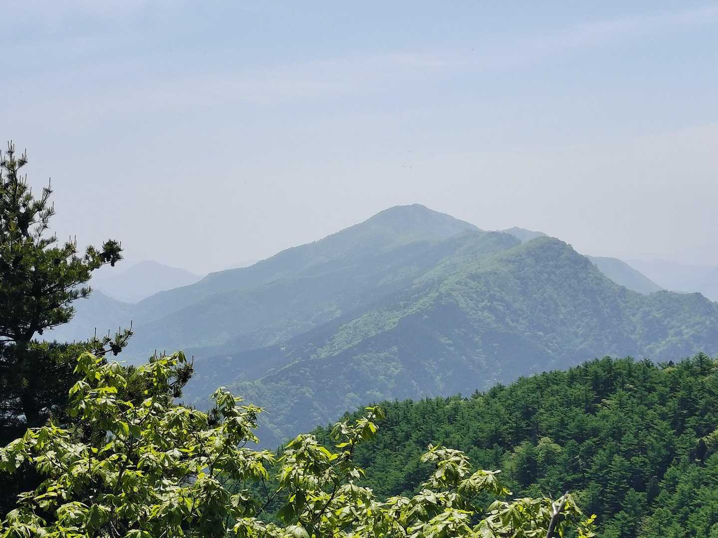 笹ヶ峰かな