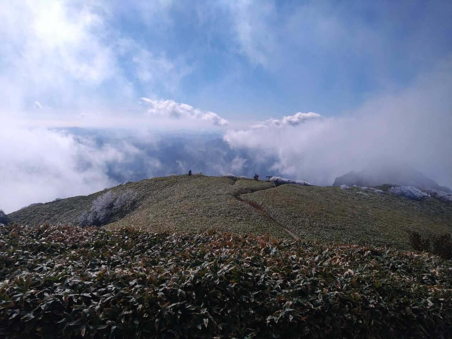 瓶ヶ森登山口発着｜四国最高峰を眺望する瓶ヶ森 周回コースの写真