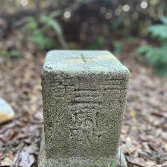 点名: 山田村
標高: 275.27 m
種別: 三等三角点

ここの三角点は北を向いている。