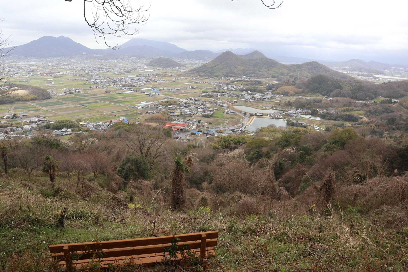 七宝山-赤道登山口 往復コースの写真