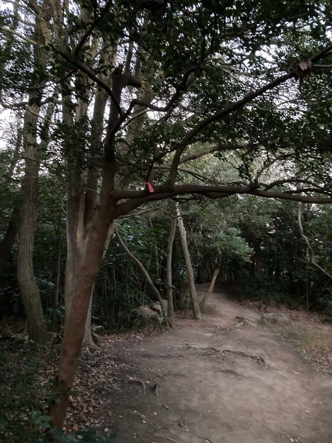 でも薄暗いし人いないしちょっと怖い😨