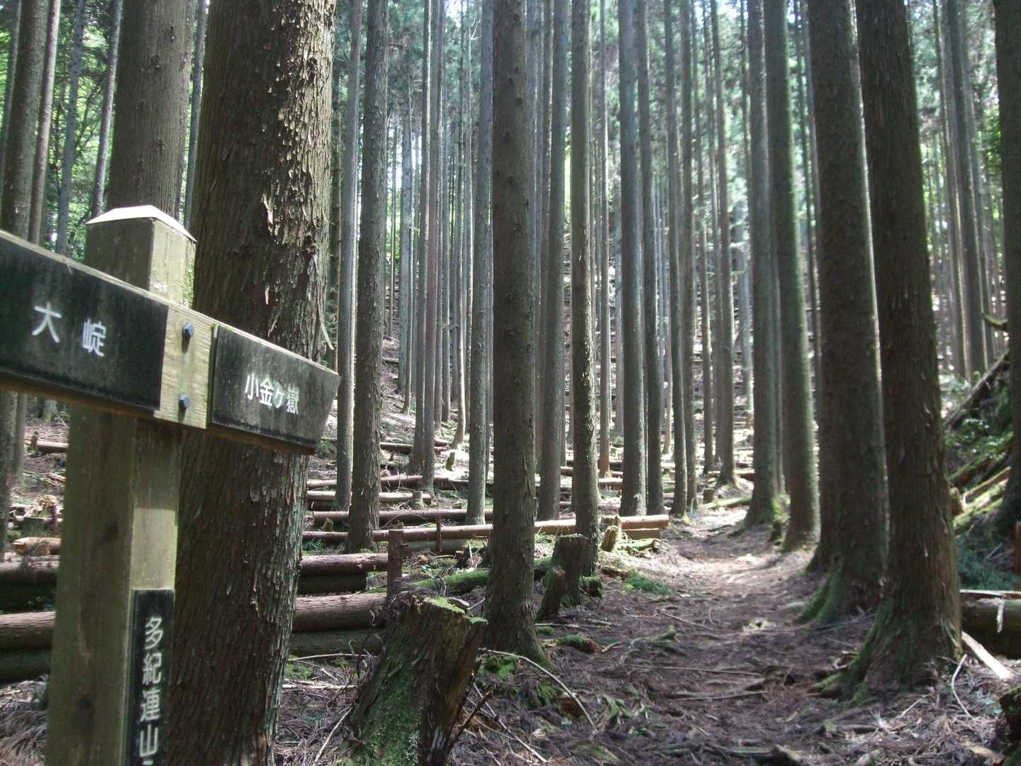 御嶽道登山口-御嶽-小金ヶ嶽 周回コースの写真