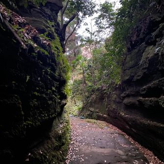 高い崖の切通し