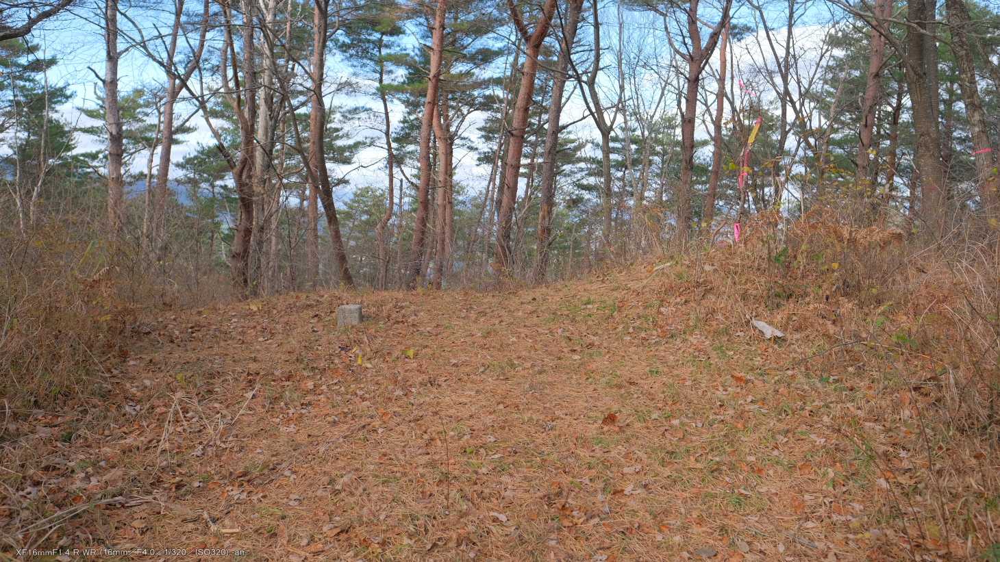 山頂到着。
