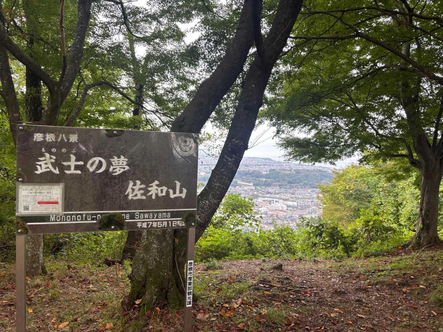 夜景綺麗そう

って、愛知より暑い