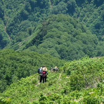 今日お会いした登山者は、丸舞5人、野田2人でした。