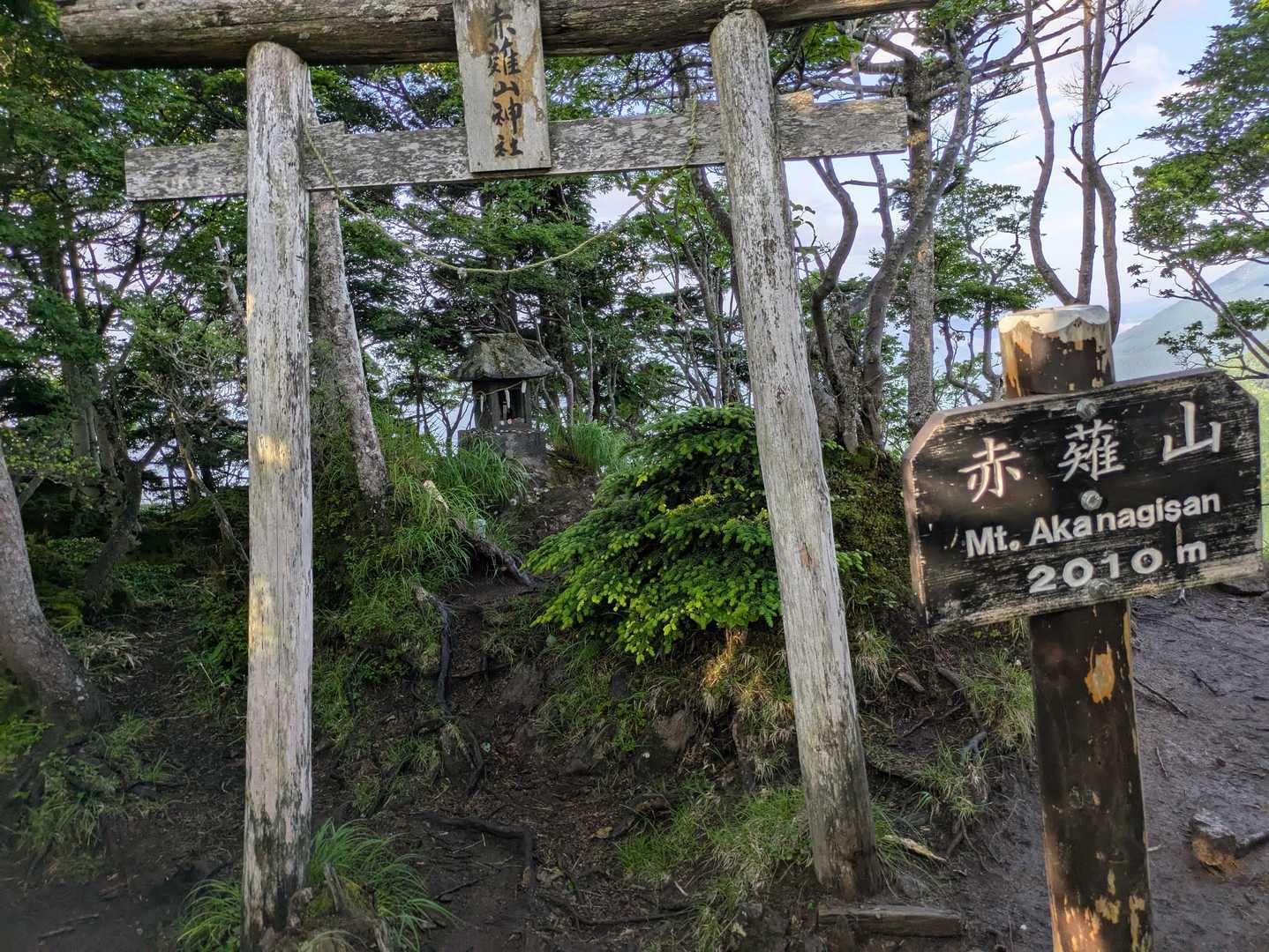 赤薙山山頂