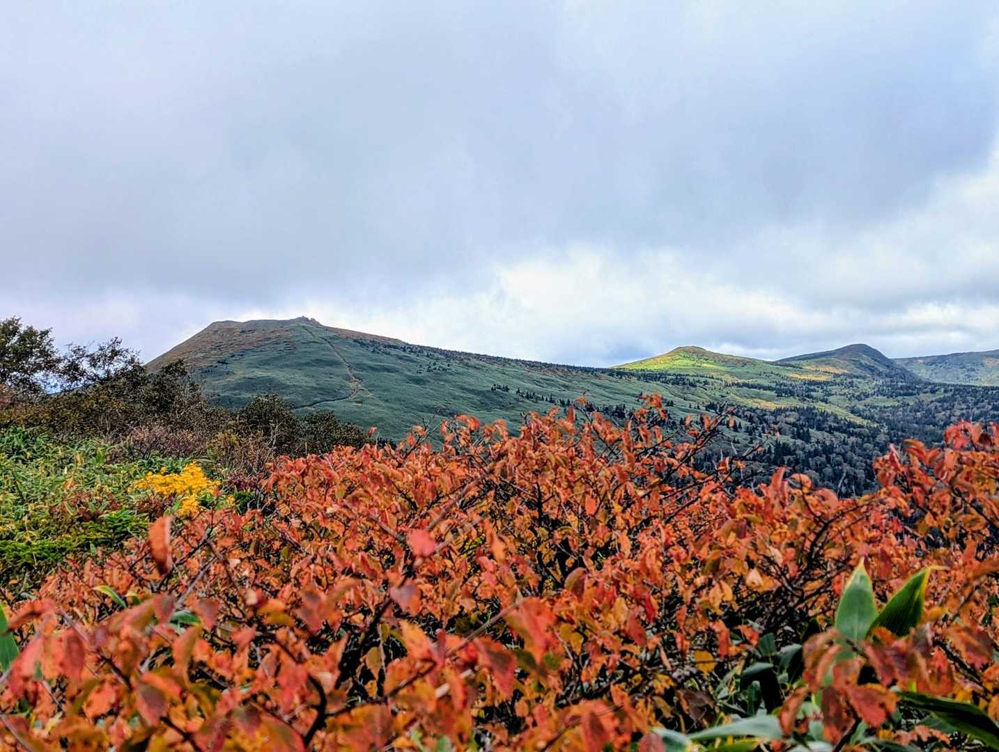 展望が開けて、三ツ石山、三ツ石覘標の台、小畚山👀✨️
こんなに紅葉進んでいたとは😍
