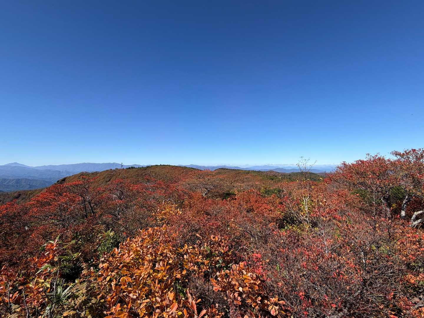 赤々とした山頂からの丸山方面