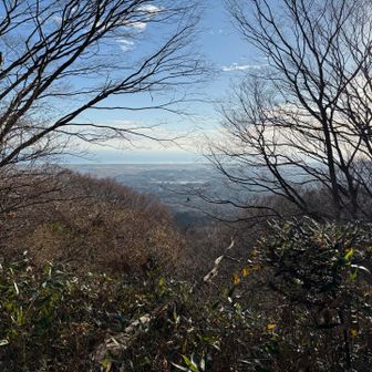 鷹討山からの眺め