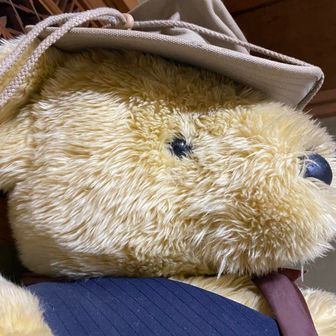 おおきなくま