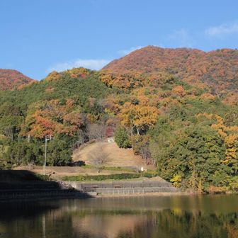 下山すると晴れていました
山体全てが黄色になっていて遠目で見ても二上山だけ目立ちます