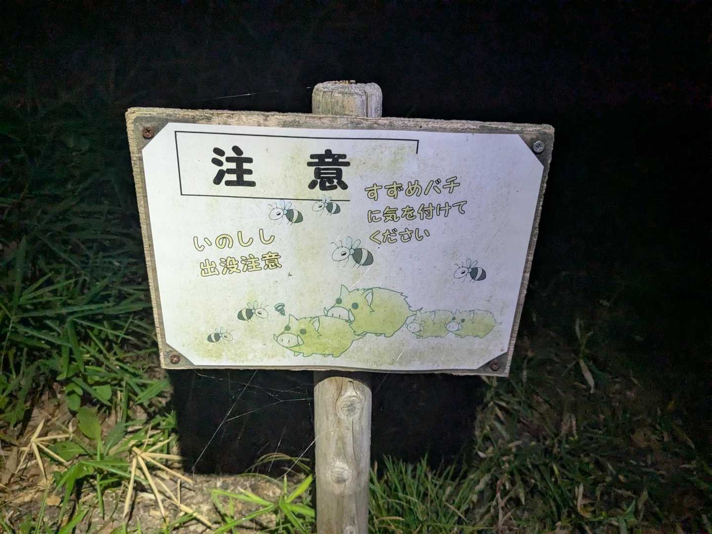 花火が終わったら、山頂にいた皆さんと一緒に下山。
蜂には会いましたが、イノシシとは会わずに無事帰ってこれました😊