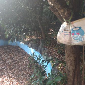 ぱっかちゃんのお家　
お邪魔します