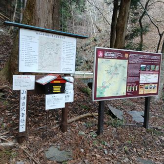 不死熊登山口についた　みんな書いてるけど､それにしても不死熊っておっかねえな。フェニックマか？　最近よく聞く不眠熊もおっかないけど··· ねなっくまか？　なら不死熊はしななっくま？🧸