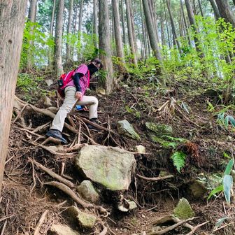 急な斜面が伝わるかな？
先に降りてた友達が、そこで止まってて〜‼️と撮ってくれた1枚📸
あなた本当に今日2回目の登山者ですか⁉️