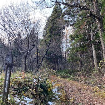 無事下山。先行者の車がまだ５台ありました。