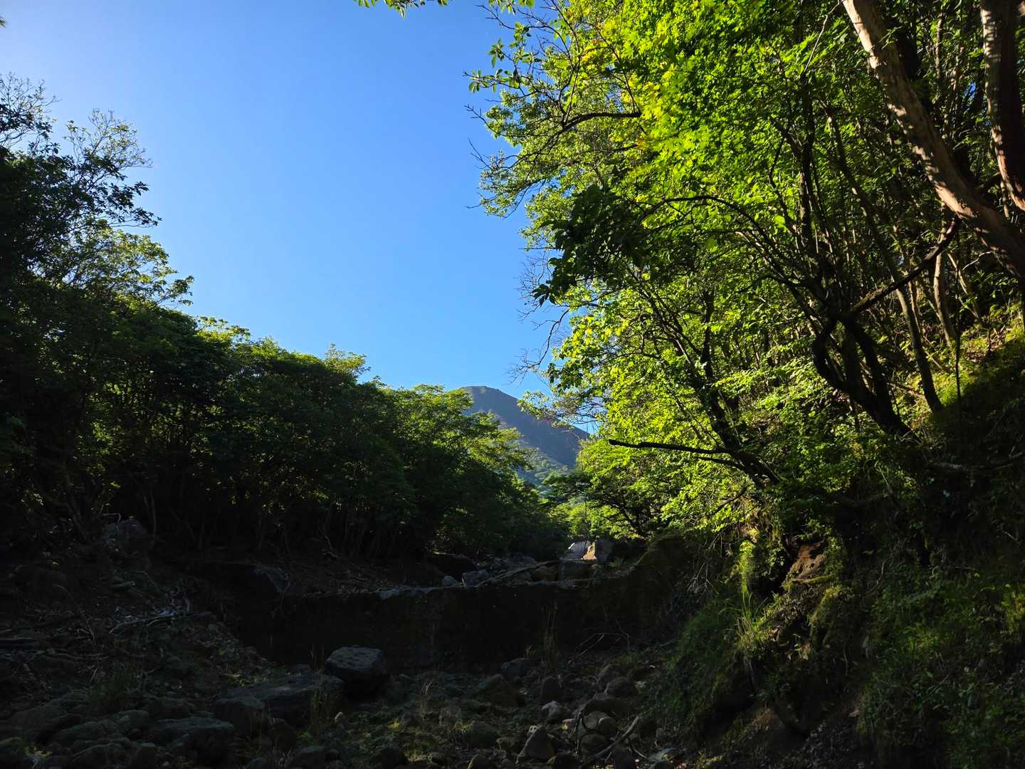 綺麗👍️