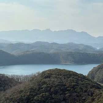 気になってしょうがない
好きになってしまったのだ♡