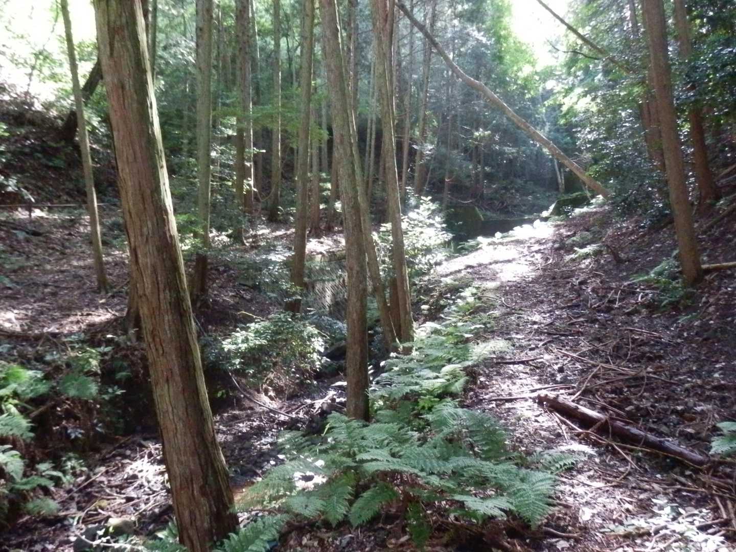 陽が射しこみ風もあり快適