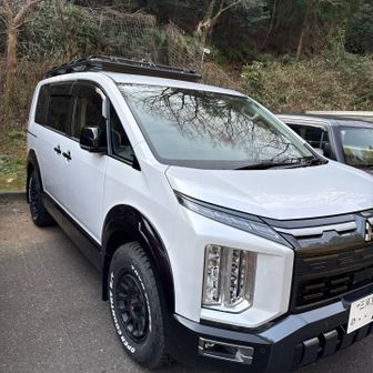 犬連れでも車中泊ができるようにデリカを購入しました