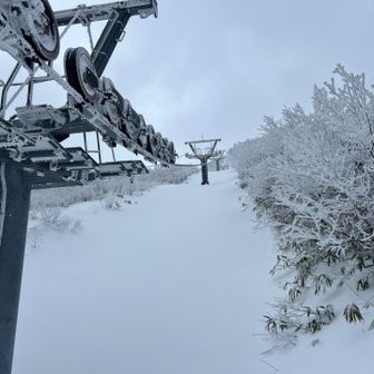 九合目に行こうと思いましたが、時間も時間なので下山します