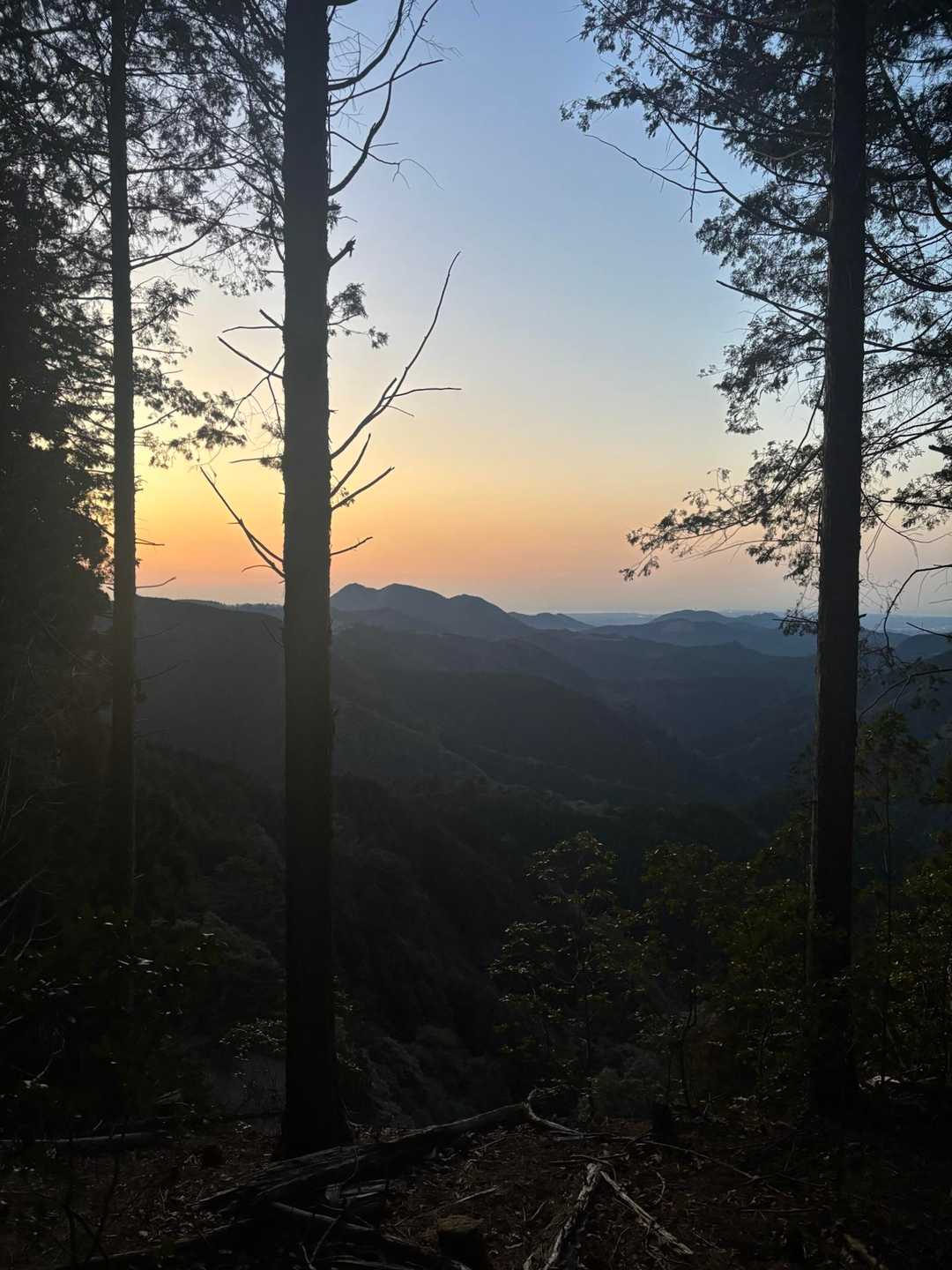 ちょっと開けた場所から正面の高いのが八高山⛰️