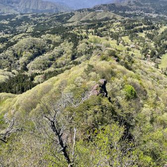 烏帽子岩と五郎岩を見下ろし谷川岳方面を見る