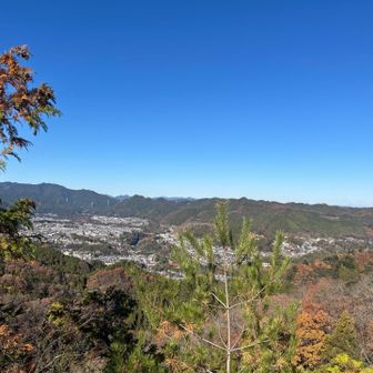 今日はスタート遅かった事もあり、
お昼はポカポカ陽気☀️良きですね。