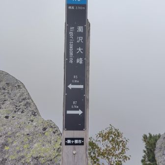 濁沢大峰
もうガスっていて眺望はありません😅