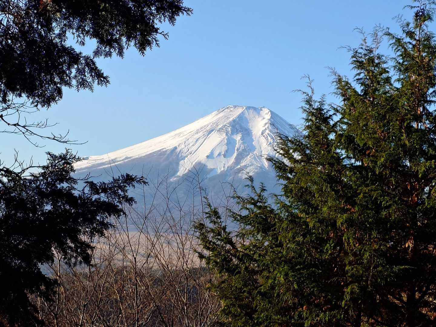 ビューポイント📷️🗻