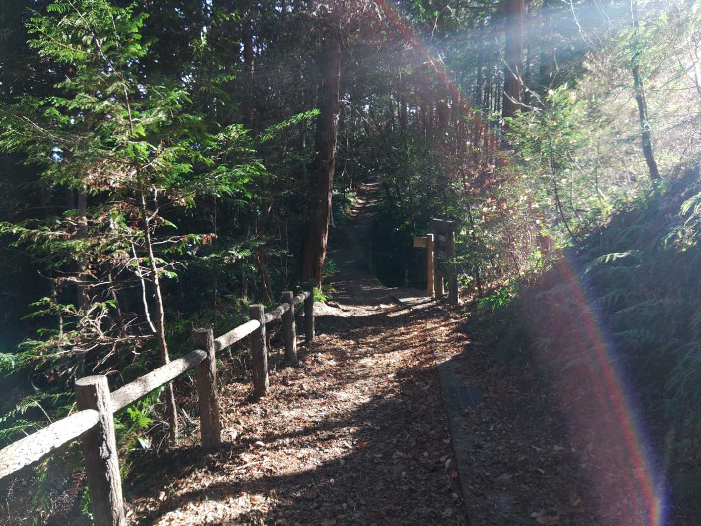 ふれあいの森入口-尾張白山-西山 往復コースの写真