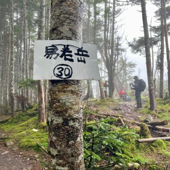 ようやく「30」に到着！奥には易老岳の山頂⛰️