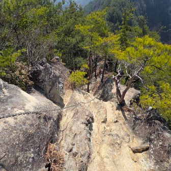 山頂付近には鎖場
登るのは良かったけど降りるの怖いな〜😅
