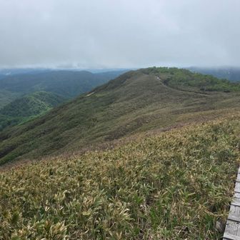 戻ります