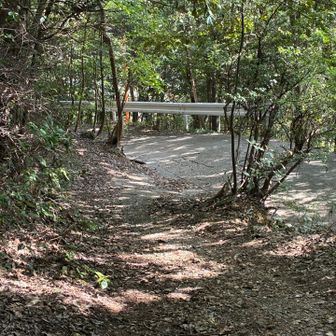 眺望満喫コースに合流