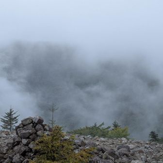 山頂からの景色はガスガス😶‍🌫️