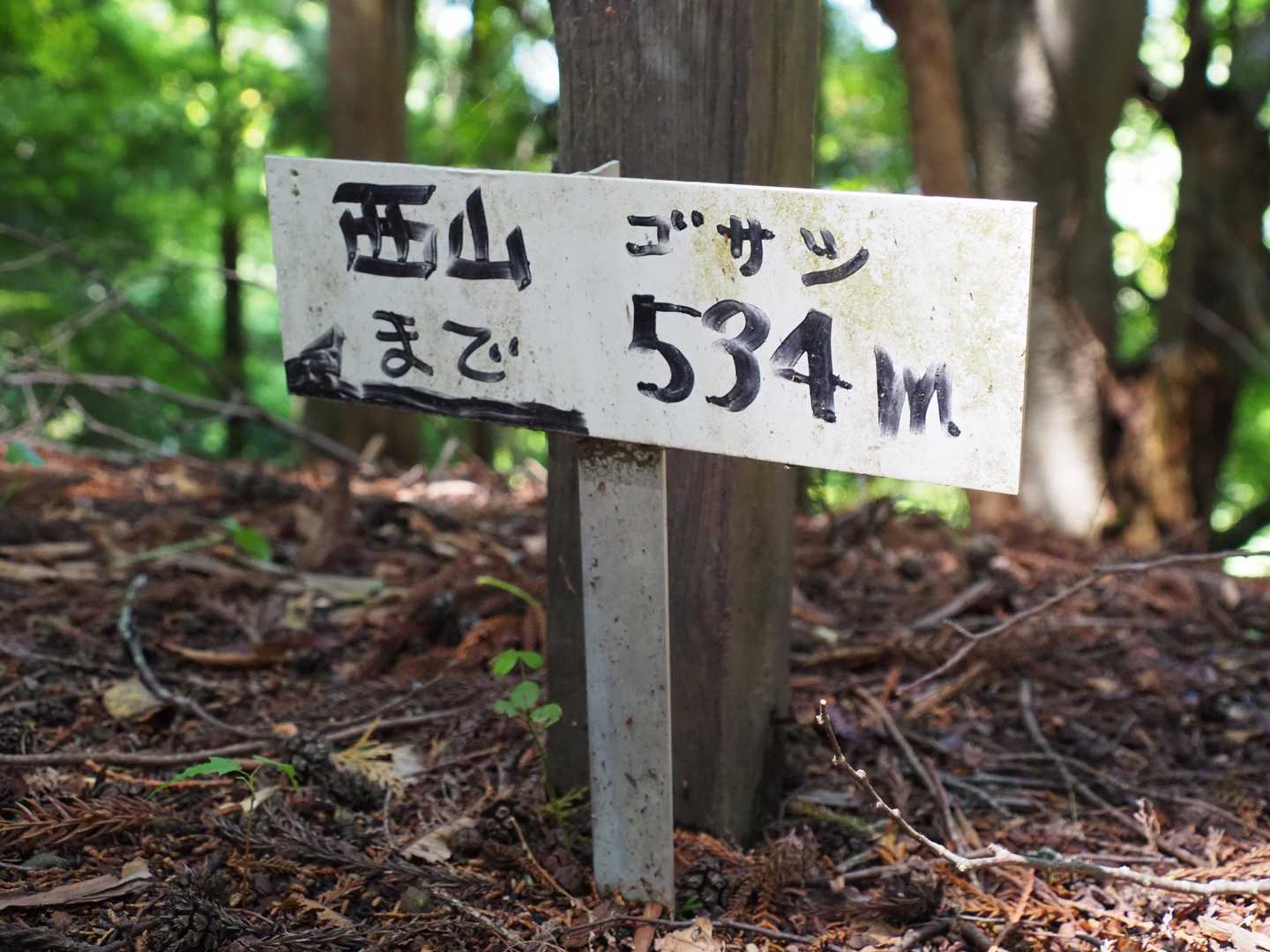 西山までは片道15分程度の予定…🚶‍♀️