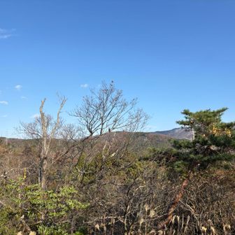 中山から
ここからだとあんまり眺望はないなー(*´-`)