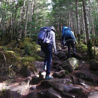 じゅうべいまま