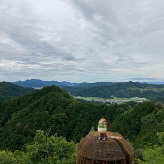いい眺め