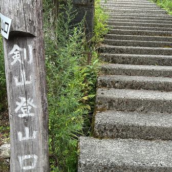 いざ、参る❗️